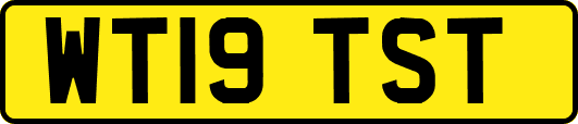 WT19TST