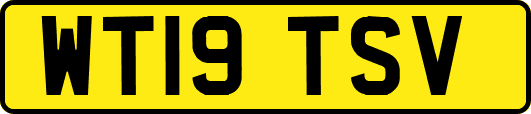 WT19TSV