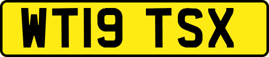 WT19TSX