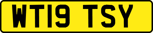WT19TSY