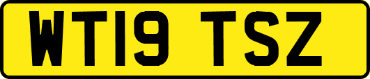 WT19TSZ
