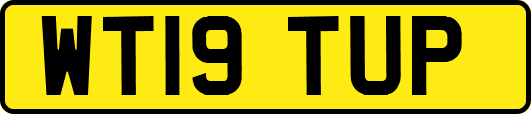 WT19TUP