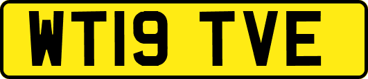 WT19TVE