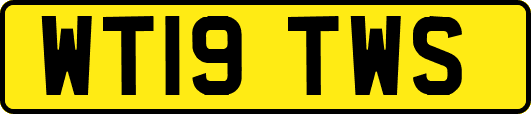 WT19TWS