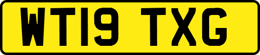 WT19TXG