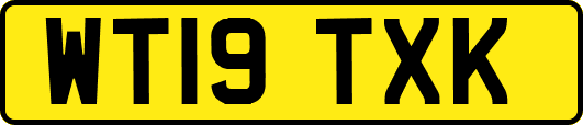 WT19TXK