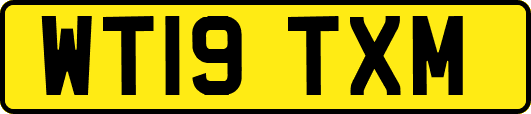 WT19TXM