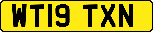 WT19TXN