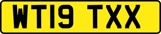 WT19TXX