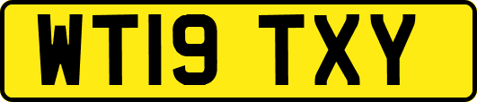 WT19TXY