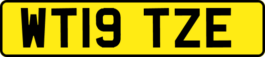 WT19TZE