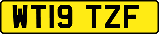 WT19TZF