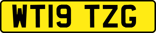 WT19TZG