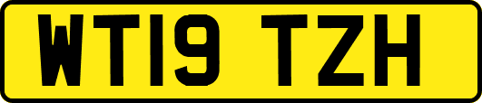 WT19TZH