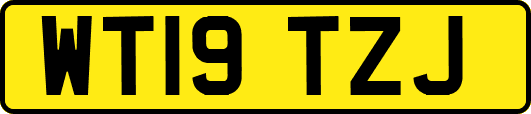 WT19TZJ
