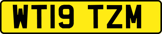WT19TZM