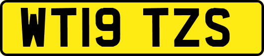 WT19TZS
