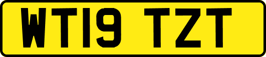 WT19TZT