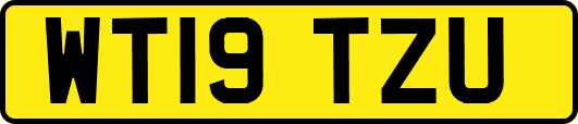 WT19TZU
