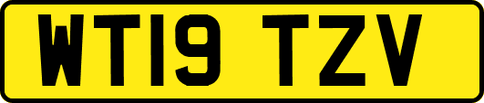 WT19TZV