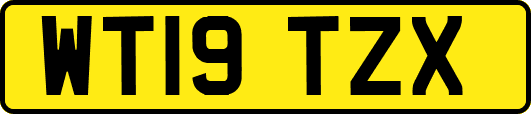 WT19TZX