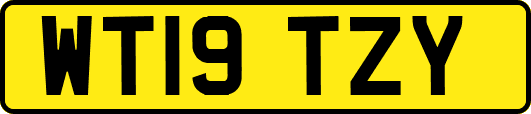 WT19TZY