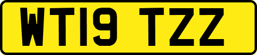 WT19TZZ