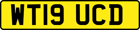 WT19UCD