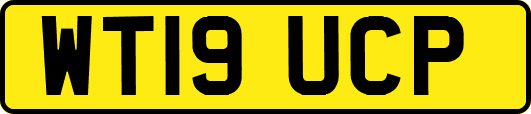 WT19UCP