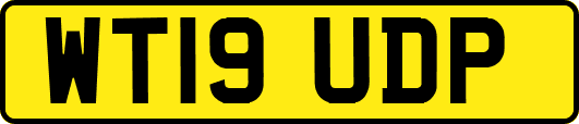 WT19UDP