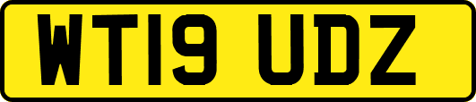 WT19UDZ