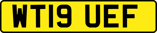 WT19UEF