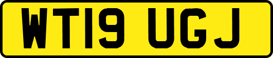 WT19UGJ