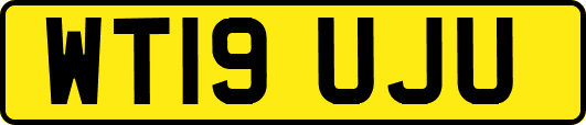 WT19UJU