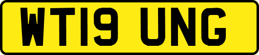 WT19UNG