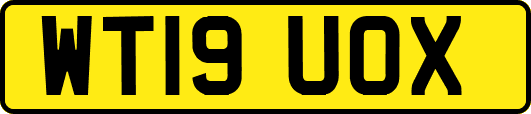 WT19UOX
