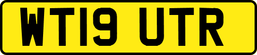 WT19UTR