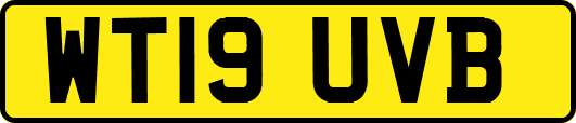 WT19UVB