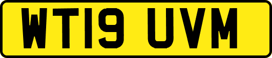 WT19UVM