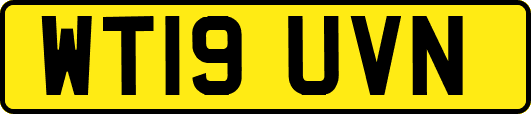 WT19UVN