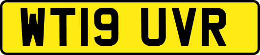 WT19UVR