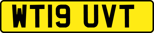 WT19UVT