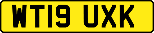 WT19UXK