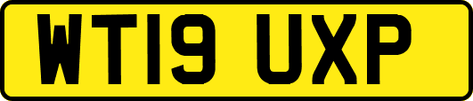 WT19UXP