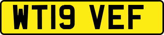 WT19VEF