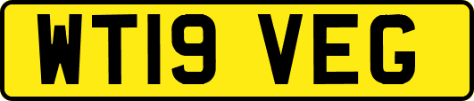 WT19VEG