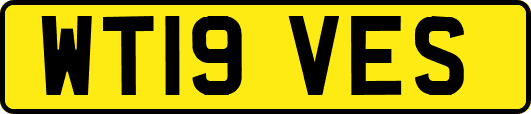 WT19VES