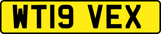 WT19VEX