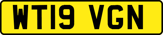 WT19VGN