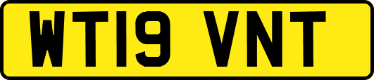WT19VNT
